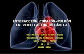 Interaccion corazon pulmon corregida