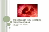 1. 1 embriologia cardiaca