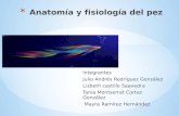 Anatomía y-fisiología-del-pez