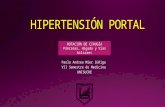 Hipertensión portal.