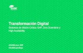 Transformación Digital: Sistemas de Misión Crítica, SAP, Zero Downtime y High Availability