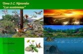 Presentación tema 2 "Los ecosistemas"