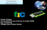 TIC e Internet en el Ecuador
