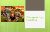 Dissapearing habitats
