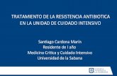 Tratamiento de resistencia antibiotica en UCI. Farmacología Clínica