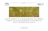 Estado y conservacion del Camaleon Comun en Andalusia