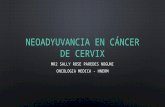 Neoadyuvancia en cáncer de cervix