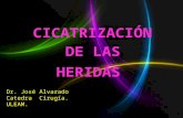 Cicatrizacion  DE LAS HERIDAS 2014 a.