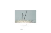 Arturo Álvare  catalogue 2017