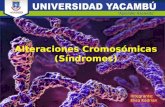 genética Alteraciones Cromosómicas (Síndromes)