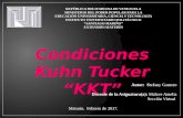 Condiciones Kuhn - Tucker