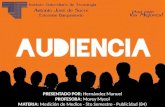 Audiencia y Saturación Publicitaria (Laminas)