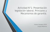 Actividad No 1: Presentación legislación laboral, Principios y Mecanismos de garantía