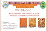 Enfermedades   musculares  ppt