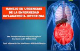 Revisión enfermedad inflamatoria intestinal. d. ortiz. b. saubí.