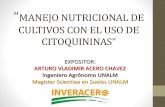 Manejo Nutricional de cultivos con Citoquininas