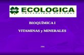 Tema 8 vitaminas_minerales[1]