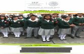 Ruta de Mejora Escolar ciclo escolar 2016-2017