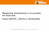 Negocios Inclusivos y la Puesta en Marcha: caso SATEC, oferta y demanda