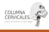 Columna cervicales
