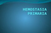 Hemostasia primaria