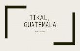 Art 216-Tikal