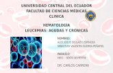 Leucemias   Agudas y Crónicas - Delgado Alex - Guerra Sebastian
