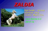 Zaldia / Irati eta Aitor