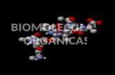 Biomoleculas organicas elizabeth ascuntar