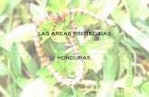 Areas protegidas Honduras