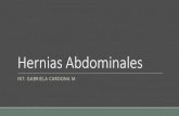 19.hernias abdominales