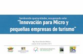 Innovacion para micro y pequeñas empresas