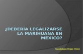 ¿Debería legalizarse la marihuana en México?