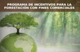 Enlace Ciudadano  Nro. 281 - Programas de incentivos para Forestación