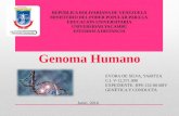 Genoma humano. Universidad Yacambú.