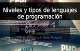 Niveles y tipos de lenguajes de programación