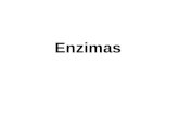 8. enzimas 1