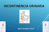 Incontinencia urinaria en geriatria