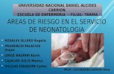 Areas de riesgo en el servicio de neonatologia