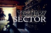 Tertiary sector pp
