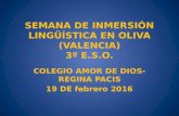 SEMANA DE INMERSIÓN LINGUISTICA EN INGLES COLEGIO AMOR DE DIOS BURLADA 2016