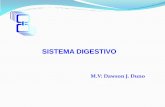 Histología del Sistema Digestivo parte 1