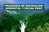 Enlace Ciudadano Nro 256 tema:  Programa de Reparación ambiental, Social y pras