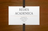 Redes academicas