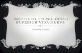 Instituto tecnológico superior vida nueva