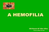A hemofilia