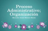 Proceso administrativo organizacion