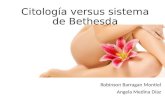 Citología versus sistema de bethesda