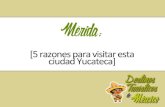 Mérida: 5 razones para visitar esta ciudad yucateca