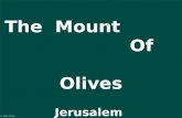 JERUSALEM, MONTE DE LOS OLIVOS